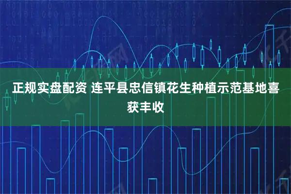 正规实盘配资 连平县忠信镇花生种植示范基地喜获丰收